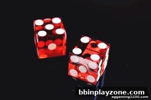 AG真人 bbinplayzone